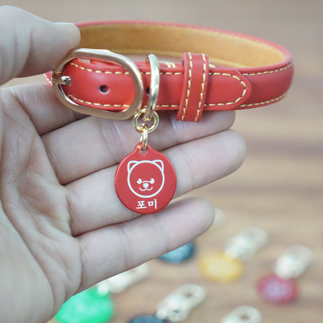 아미펫 캐릭터 일러스트 각인 컬러가죽 강아지목줄 인식표, 블루, 1개