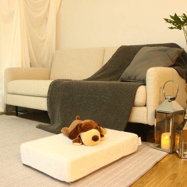 8DECO 강아지 침대 계단 (스펀지 포함) 가디언, 가디언 화이트, 1개