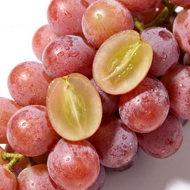 [백화점납품] 프리미엄 20brix 씨없는 캔디포도, 1박스, 500g