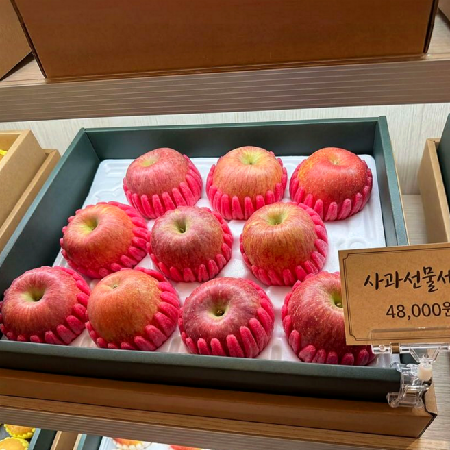 [설맞이 특선 부사사과]과일 선물 세트, 1박스, 선물용 10과내외 (3kg이하)