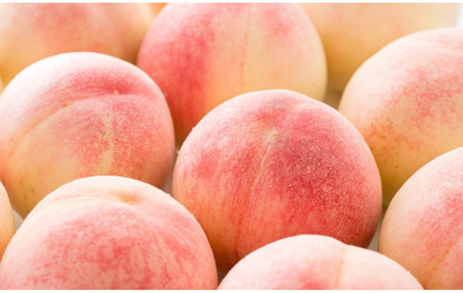 [초신선/당일배송] 고당도 딱딱이 복숭아 4kg 10kg 딱복 특1등급 납작복숭아, (특1등급) 딱딱이 복숭아10kg 30-50과, 1개