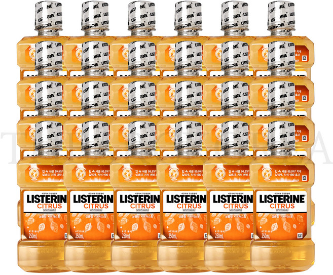 리스테린 세균억제 구강청결제 시트러스250ml, 250ml, 24개
