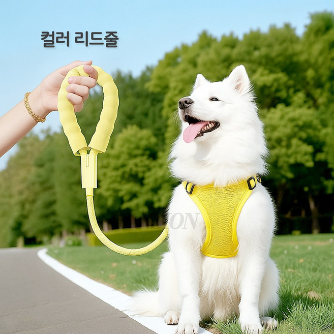 NSION 반려동물 산책용 나일론 컬러 로프 리드줄 2m, 1개, 옐로우