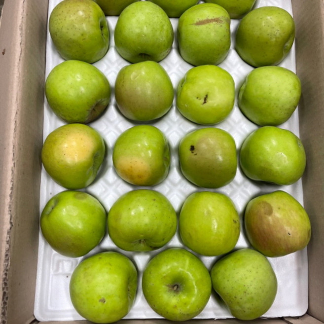 못난이 아오리 썸머킹 랜덤 여름사과 가정용 흠과, 1박스, 3kg(가정용 못난이)