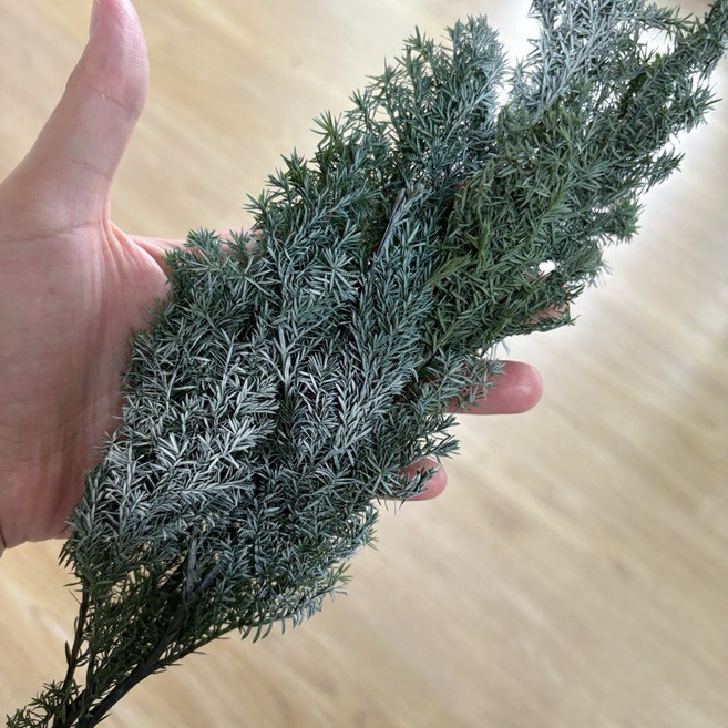 EARTH MATTERS 永生雪松, 1個, 刷白一份15g, 刷白