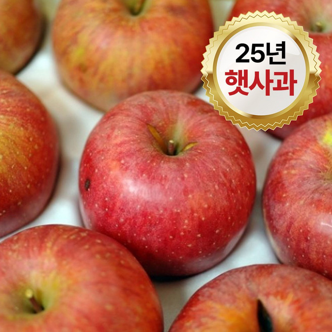 안동 청송 프리미엄 햇 사과 가정용, 1개, 9kg