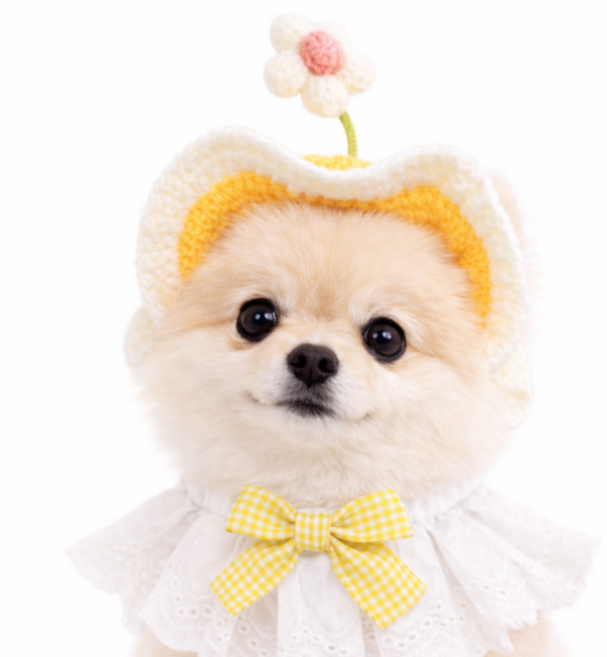 디위닉 강아지 꽃모자 고양이 반려묘 반려견 애견 코스튬 귀여운 촬영 소품튬, 1개, 옐로우