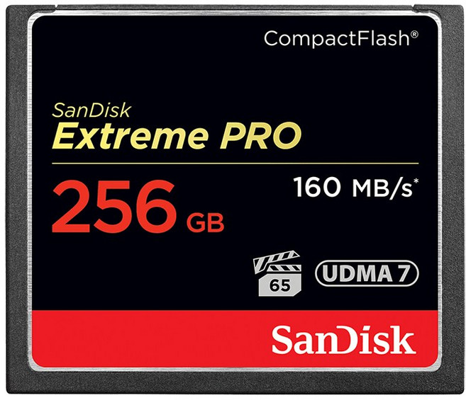 샌디스크 익스트림 프로 CF카드 SDCFXPS, 256GB, 1개