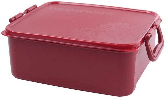 타파웨어 Tupperware 대용량 김치통 직사각 5500ML, 1개