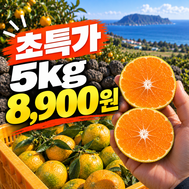 [전국최저가] 고당도 제주 귤 구매 1위 감귤 과일, 1박스, 5kg