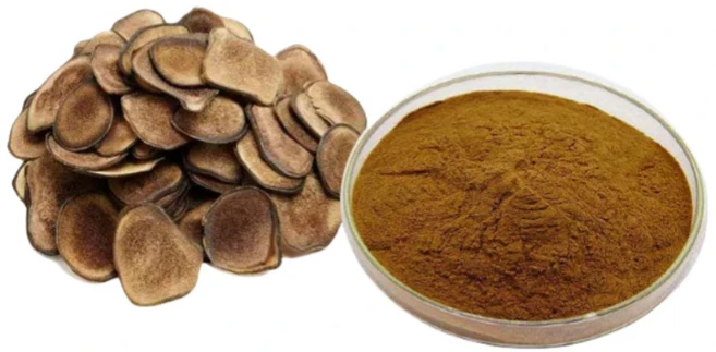 30배 농축 녹용 추출물, 1개, 200g - 쿠팡