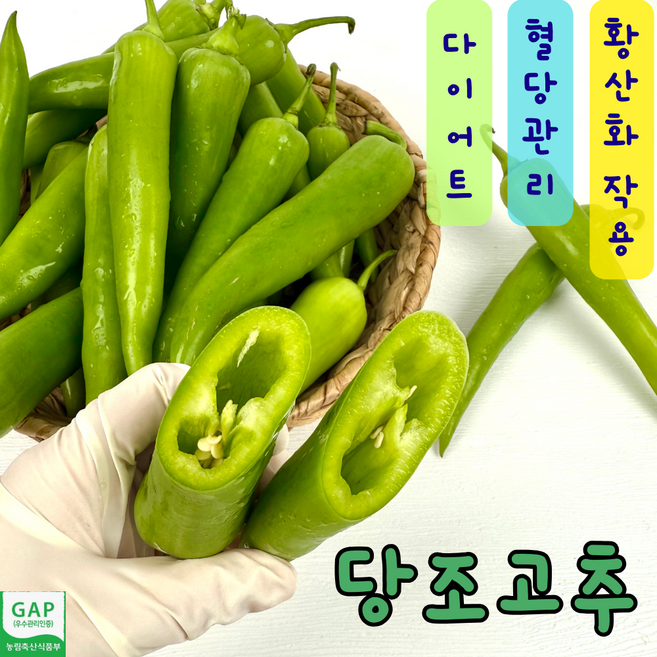 GAP인증 당조고추 혈당조절 황산화작용 다이어트고추, 1개, 1kg