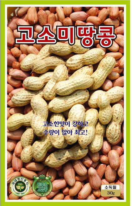 영농사 고소미 땅콩 씨앗 30g 수확량 많은 땅콩씨, 5개