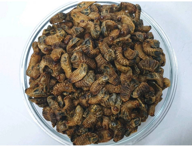 흰점박이꽃무지 유기농 건조굼벵이 180g (피로회복 간건강 간기능 국내산 청정 굼뱅이), 1개