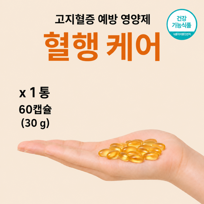 흐르는 혈행 케어 콜레스테롤 혈관 건강 관리, 2개, 60정