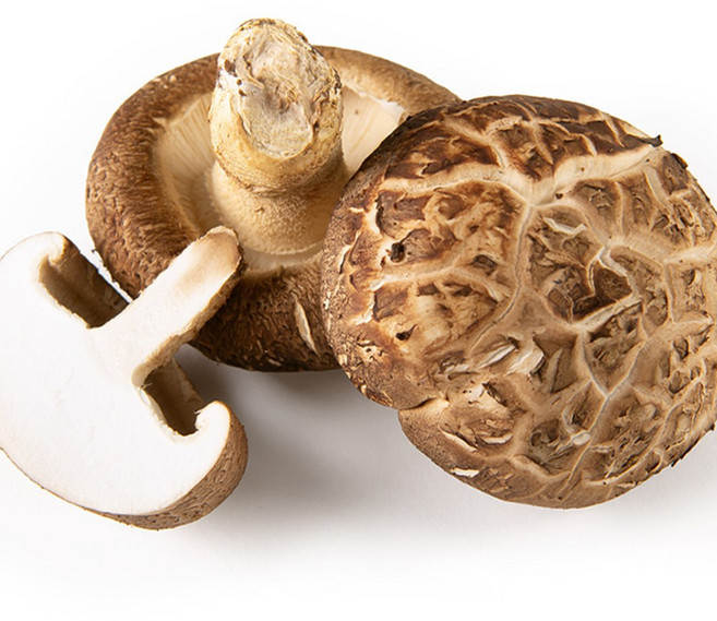 무안 생 표고버섯 특품/상품/중품/못난이 1kg 햇살 바람 물 365일 자연이 주는 선물, 무안 생 표고버섯  특품 1kg