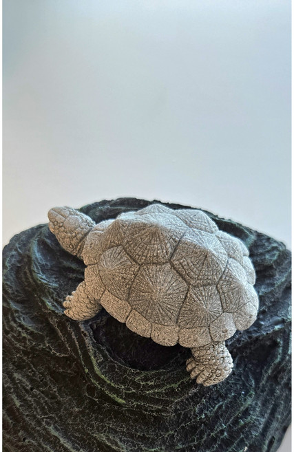 소원 행운 돌거북이 조각상 거북이모형 수공예 조경 풍수, 소원 돌거북이+공예 케이스