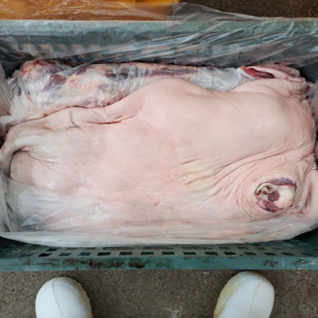 대감식품 국내산 냉장 도매 발골 소머리 16kg 생물 한우 거세, 1개