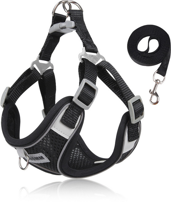 디아쿠아 야광 빛반사 메쉬 강아지 하네스 리드줄 세트, 블랙
