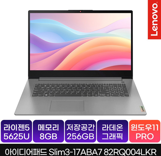 레노버 2022 아이디어패드 슬림 3 17ABA7 17.3 라이젠5 라이젠 5000 시리즈, Arctic Grey, 256GB, 8GB, WIN11 Pro, 82RQ004LKR
