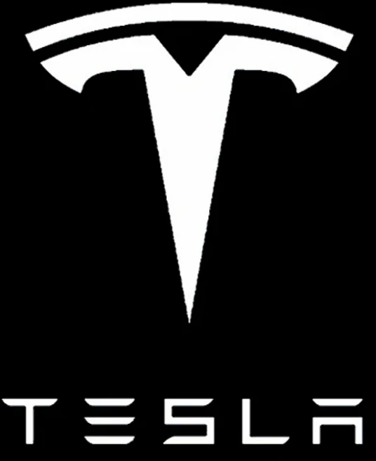 2Pcs 자동차 도어 프로젝터 LED 로고 환영 조명 그림자 장식 램프 테슬라 모델 Y 모델 3 모델 S 모델 X 액