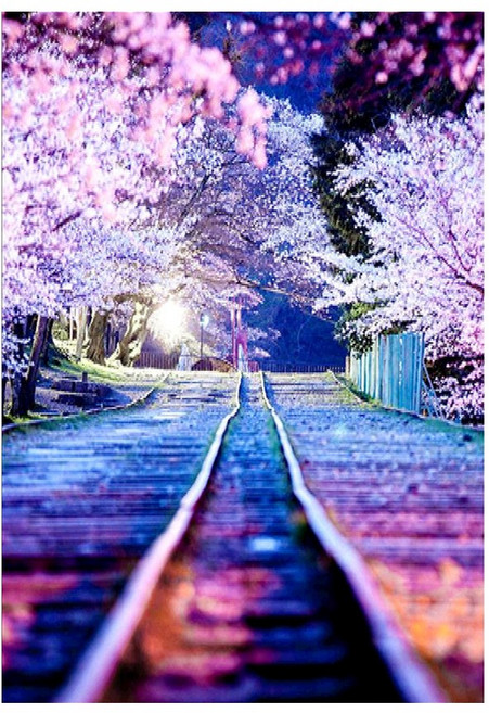 에쉬울프 보석십자수 DIY 비즈공예 키트 30cmX40cm, 벚꽃 레일, 1개