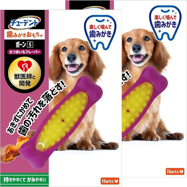 하츠(Hartz) 츄덴트 치약 장난감 뼈 S 초소형견 고구마 맛2개 강아지 치석제거 장난감