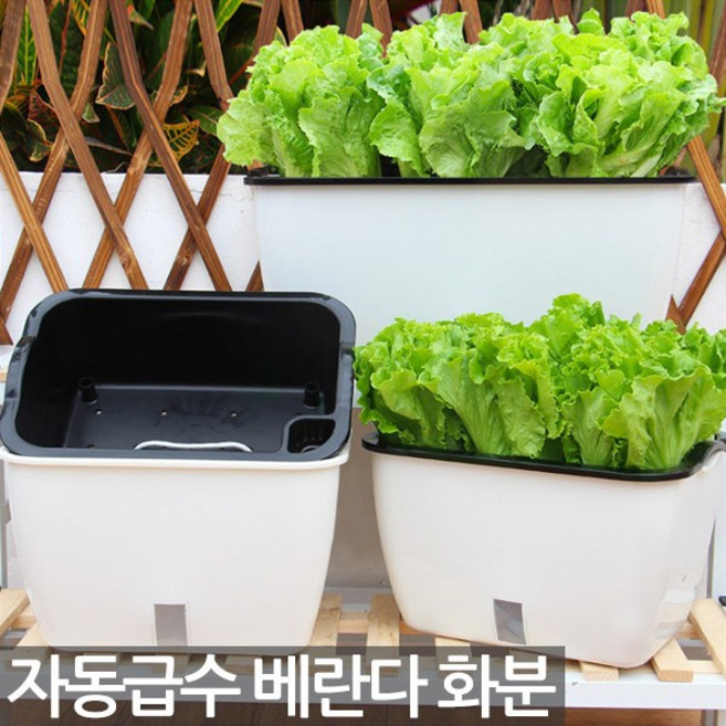 자동급수 베란다화분 - 베란다텃밭 텃밭상자 화분 플라스틱화분 베란다 텃밭 게으른 자동 물주기 재배기 채소, 02_Sein_자동급수 베란다화분(대형), 1개