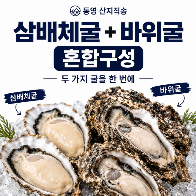 [통영 산지직송] 삼배체굴 바위굴 혼합세트 각굴 석화 제철 생굴, 1개, 삼배체굴1kg(2-4미)+바위굴1kg(1-3미)
