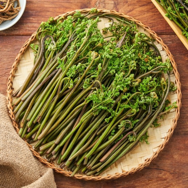 [산지 직배송] 26년 국내산 햇 고사리 생고사리 고사리나물, 1개, 1kg