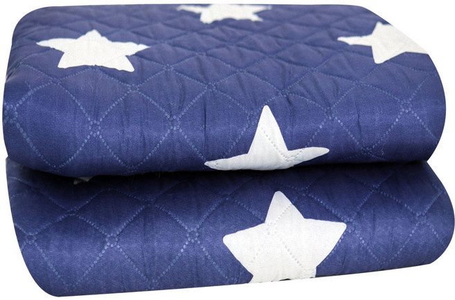 제일조아 모던한일 프리미엄 무자계 전기요 전기장판 탄소열선 고급형 캠핑 차박 전기매트, 대형(135×180), 블루, 대형