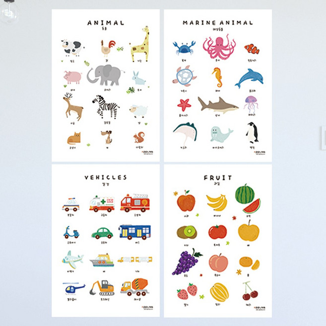 애플링 4종세트 동물 탈것 과일 그림 아이방 학습 포스터 어린이 코팅 벽보 벽그림