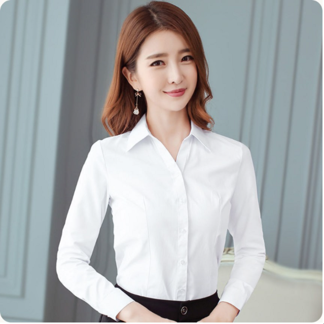 에쉬울프 여성 남방 블라우스 긴팔셔츠 슬림핏 면접 유니폼