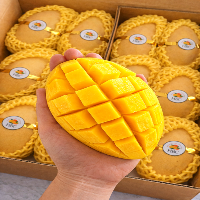 [꿀맹키로] 20brix 호텔납품용 태국 프리미엄 망고, 1박스, 2kg