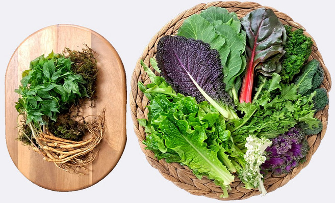 툴시 건강 모듬쌈 1kg, 1개