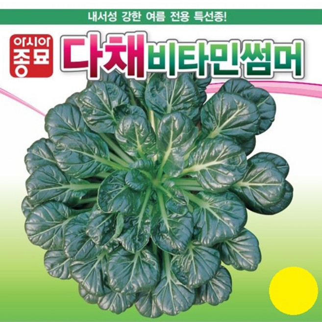 아시아종묘 씨앗 다채 비타민썸머 600g, 1개