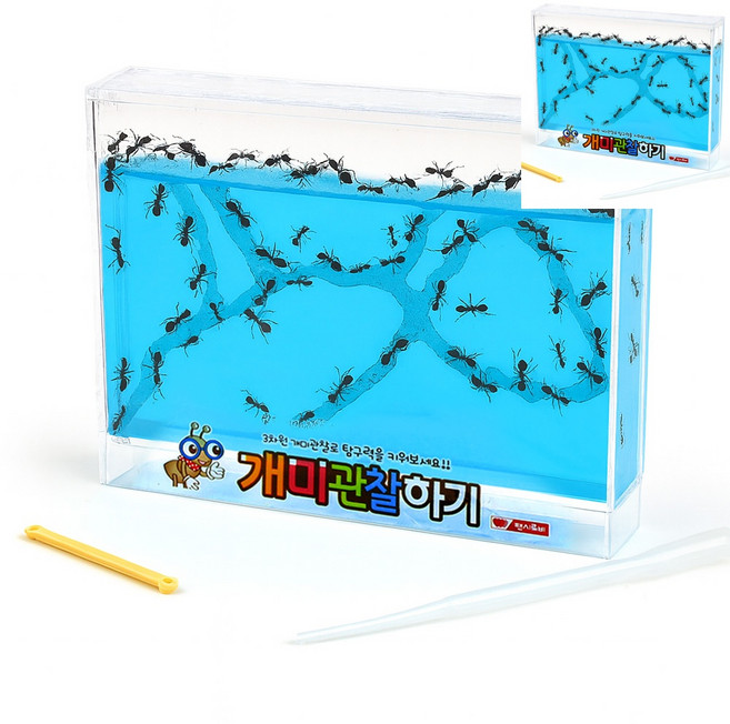 [픽글] 초등과학체험세트 창의과학교구 곤충관찰도구 개미 관찰하기 대 블루