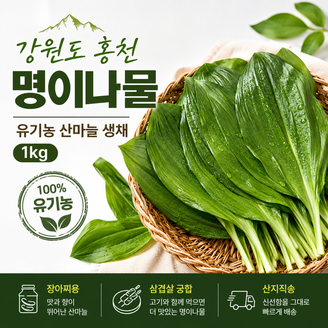 강원도 홍천 명이나물 1kg 유기농 산마늘 생채, 1개