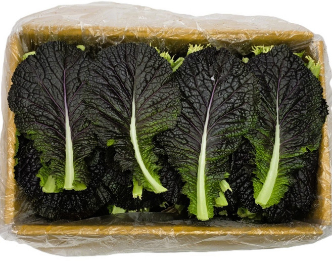 싱싱한 적겨자 2kg (1.8~2kg) 박스, 1개