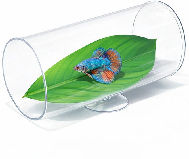 파인다즈 어항 은신처 터널 베타침대, 1개