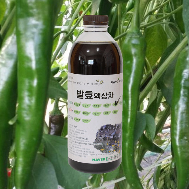 자연미가 청양고추 효소액 1000mlx1병 /ss 자연숙성 발효액100%, 1000ml x1병, 1개