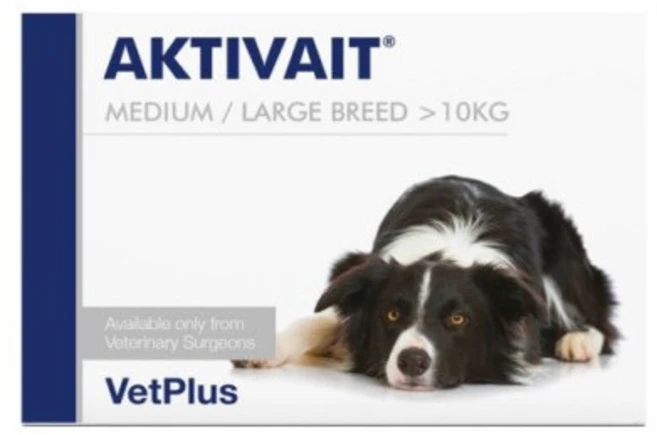 [무료배송][사은품증정]리뉴얼 액티베이트 미디움&라지 60캡슐 중대형견 유통기한 최신 27년 2월 8일, 1개 - 쿠팡