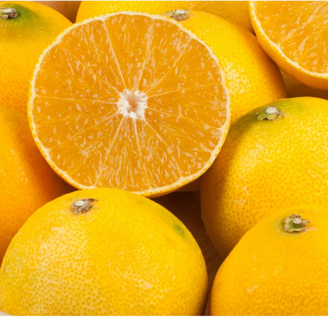 신비의맛 15brix 초고당도 고급원조품종 황금향, 1박스, 옵션 1