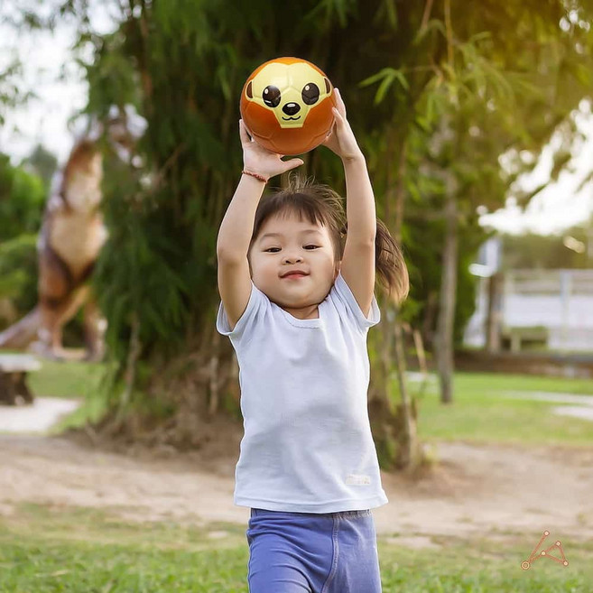 말랑말랑캐치볼 집에서놀때편한공 동물스펀지공 14.3cm 소프트볼 1개 동물얼굴디자인공