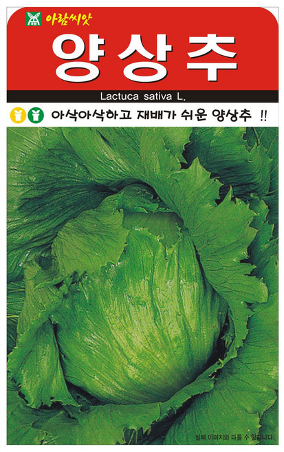 아람종묘 양상추 씨앗, 2개