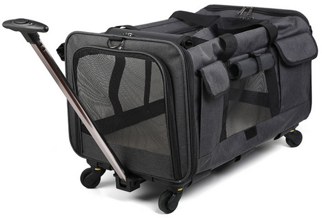 트윙클펫 반려동물 캐리어, 블랙, 1개