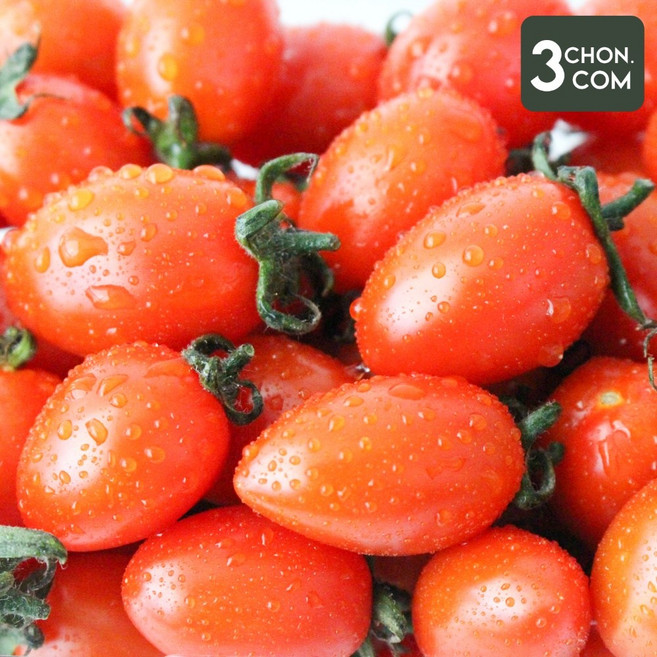 탱글탱글 국내산 대추 방울토마토 1.5kg/3kg, 4개