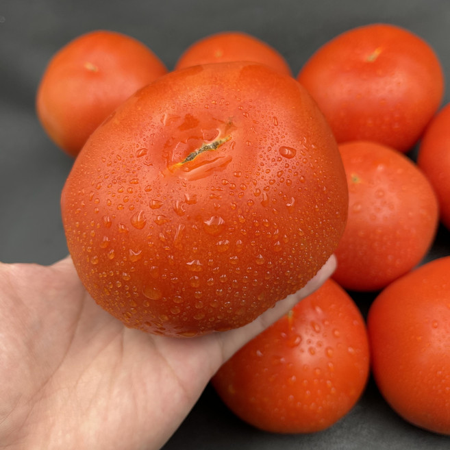 탱글탱글 완숙 토마토 고품질 산지직송, 1박스, 3kg(쥬스용 못난이)