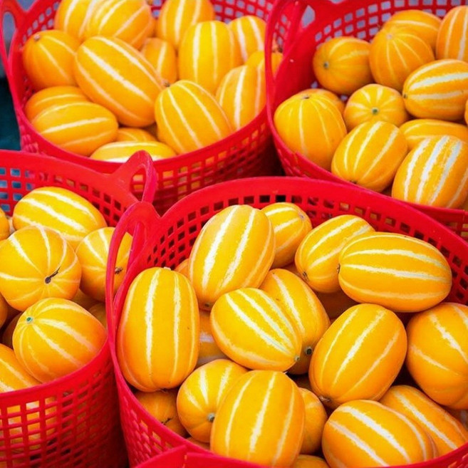 초특가 최고당도 성주 꿀참외 못난이, 1박스, 5kg(혼합과)