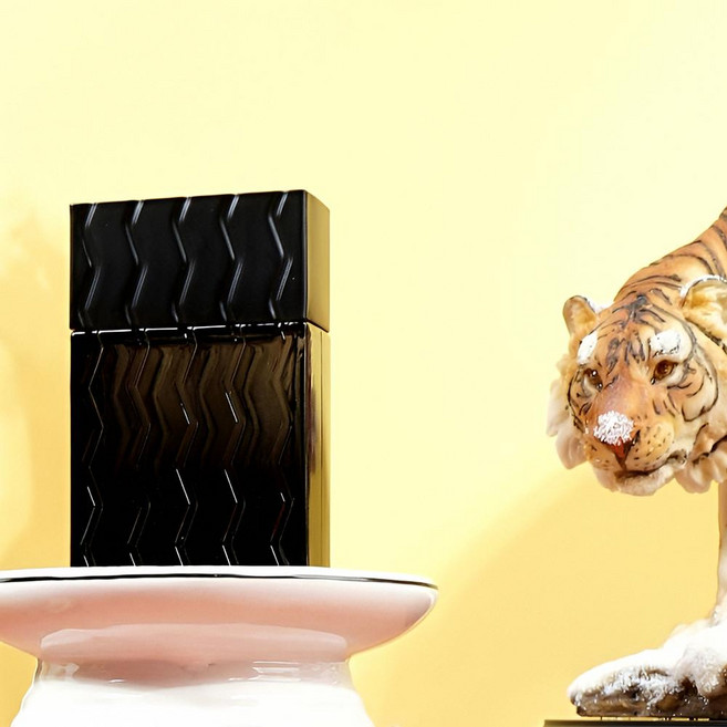 알로에베라잎 남성향수 40ml 블랙 향기 알로에베라 남성 향 향수 향료 남자 병, 본상품, 1개